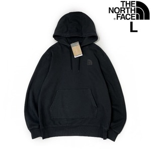 1円～!売切!【正規新品】THE NORTH FACE◆GARMENT DYE HOODIE プルオーバー パーカー US限定 ガーメントダイ 立体ロゴ(L)黒 181130-10