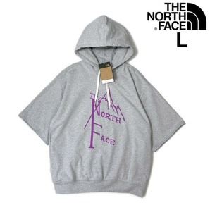 1円～!売切!【正規新品】THE NORTH FACE SHORT SLEEVE 1966 HOODIE パーカー US限定 立体ロゴ 裏起毛 上質 男女兼用(L)グレー 181130-33 の画像1