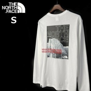 1円～!売切!【正規新品】THE NORTH FACE DOME BACK GRAPHIC L/S 長袖 Tシャツ ロンT US限定 グラフィック 上質 アウトドア(S)白 180902-20の画像2