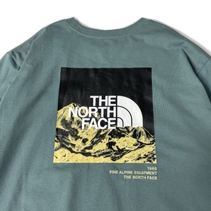 1円～!売切!【正規新品】THE NORTH FACE◆LONG SLEEVE LOGO PLAY TEE 長袖 Tシャツ ロンT US限定 袖ロゴ 落描き風 上質(XXL)青 180902-20の画像4