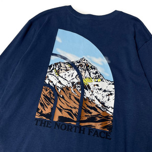 1円～!売切!【正規新品】THE NORTH FACE◆L/S GRAPHIC INJECTION TEE 長袖 Tシャツ ロンT US限定 ビッグロゴ 男女兼用(M)青 180902-5の画像4