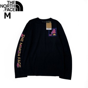 1円～!売切!【正規新品】THE NORTH FACE◆L/S CNY RECYCLED TEE 長袖 Tシャツ ロンT US限定 ボックスロゴ トラ 上質 袖ロゴ(M)黒 180902-20の画像3