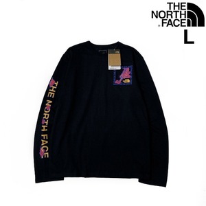 1円～!売切!【正規新品】THE NORTH FACE◆L/S CNY RECYCLED TEE 長袖 Tシャツ ロンT US限定 ボックスロゴ トラ 上質 袖ロゴ(L)黒 180902-20