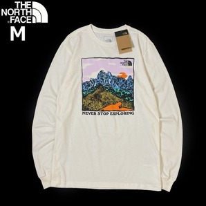 1円～!売切!【正規新品】THE NORTH FACE◆L/S GRAPHIC INJECTION TEE 長袖 Tシャツ ロンT US限定 グラフィック 上質(M)白 180902-5の画像3