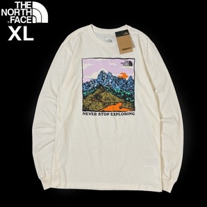 1円～!売切!【正規新品】THE NORTH FACE◆L/S GRAPHIC INJECTION TEE 長袖 Tシャツ ロンT US限定 グラフィック 上質(XL)白 180902-5の画像3