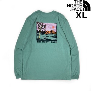 1円～!売切!【正規新品】THE NORTH FACE◆L/S GRAPHIC INJECTION TEE 長袖 Tシャツ ロンT US限定 バックプリント キャンプ(XL)緑 180902-5