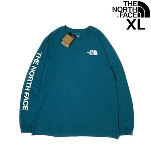 1円～!売切!【正規新品】THE NORTH FACE◆L/S TNF SLEEVE HIT TEE 長袖 Tシャツ ロンT US限定 シンプル 袖ロゴ キャンプ(XL)青 緑 180902-5