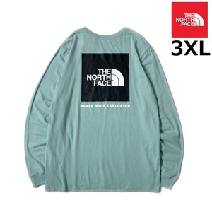 1円～!売切!【正規新品】THE NORTH FACE◆L/S BOX NSE TEE 長袖 Tシャツ ロンT US限定 ボックスロゴ 男女兼用 キャンプ(3XL)緑 180902-5