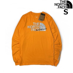 1円～!売切!【正規新品】THE NORTH FACE◆L/S GRAPHIC INJECTION TEE 長袖 Tシャツ ロンT US限定 メタリックシルバー(S)オレンジ 180902-5