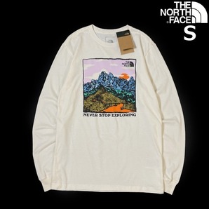 1円～!売切!【正規新品】THE NORTH FACE◆L/S GRAPHIC INJECTION TEE 長袖 Tシャツ ロンT US限定 グラフィック 上質(S)白 180902-5の画像1