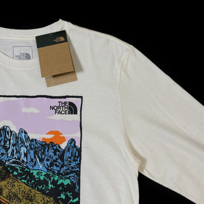 1円～!売切!【正規新品】THE NORTH FACE◆L/S GRAPHIC INJECTION TEE 長袖 Tシャツ ロンT US限定 グラフィック 上質(S)白 180902-5の画像4