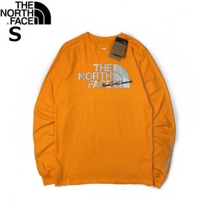 1円～!売切!【正規新品】THE NORTH FACE◆L/S GRAPHIC INJECTION TEE 長袖 Tシャツ ロンT US限定 メタリックシルバー(S)オレンジ 180902-5の画像3