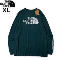 1円～!売切!【正規新品】THE NORTH FACE◆L/S GRAPHIC INJECTION TEE 長袖 Tシャツ ロンT US限定 メタリックシルバー(XL)緑 180902-5_画像3