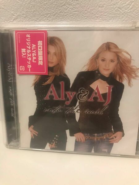 Ｉｎｔｏ ｔｈｅ Ｒｕｓｈ／アリー＆ＡＪ