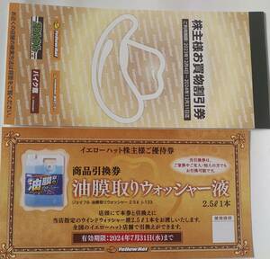 イエローハット 株主優待券 3000円分+ウォッシャー無料券