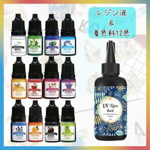 レジン 液 13点 セット 着色剤 12色 液 100g レジン着色料 UV