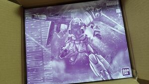 MG 1/100 ZGMF-1001/M ブレイズザクファントム レイ・ザ・バレル専用機 機動戦士ガンダムSEED DESTINY