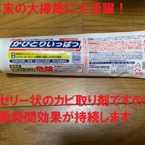 かびとりいっばつ500g１本