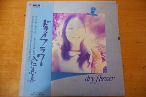 O3-113＜帯付LP/プロモ/美盤＞入江恵真 / ドライフラワー