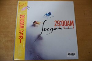 T3-086＜帯付LP/美品＞シュガー / 29:00AM