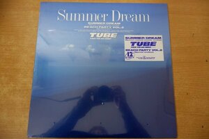 V3-038＜12inch/新品未開封＞TUBE / SUMMER DREAM
