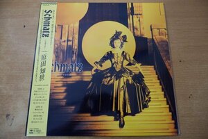 V3-140＜帯付LP/プロモ/美品＞原田知世 / シュマッツ