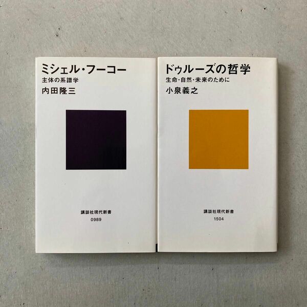 ドゥルーズの哲学（小泉義之）ミシェルフーコー（内田隆三）2冊セット