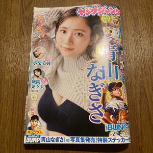 週刊ヤングジャンプ2024年13号 表紙グラビア/青山なぎささん