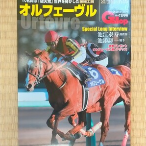 本 競馬 週刊Gallop 21世紀の名馬 vol.6 オルフェーヴル 池添謙一 美品 オルフェーブル orfevre Gallop ギャロップ 中央競馬の画像1