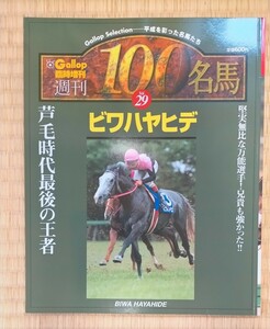 本 競馬 週刊Gallop 臨時増刊 ビワハヤヒデ　vol.29 美品 岡部幸雄 中央競馬 ギャロップ　Gallop BIWA HAYAHIDE