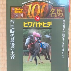 本 競馬 週刊Gallop 臨時増刊 ビワハヤヒデ vol.29 美品 岡部幸雄 中央競馬 ギャロップ Gallop BIWA HAYAHIDEの画像1