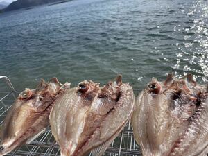 Kinty Kidai Kinme Tai Dry Three Sald (Дополнительная покупка CAN) Окружение судоходства, Ehime Prefecture Bungo Fishan Fisherman непосредственно отправлено и другие муравьи свежих рыб! Замороженная доставка жира, много умного!