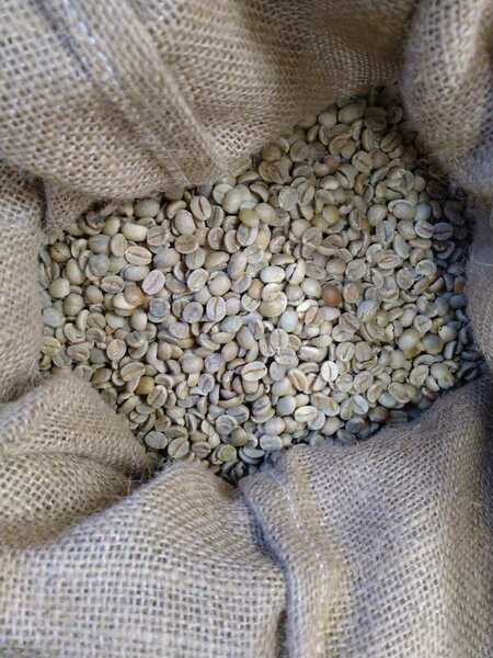 コーヒー生豆ブラジルNo2スクリーンサイズ17/18　800g