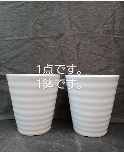 植木鉢 陶器 D-3【3L】【1個】(洋ラン・胡蝶蘭・シンピジューム・カトレア・パフィオ)