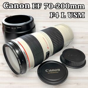 【美品 】Canon キャノン EF 70-200mm F4L USM キヤノン CANON ZOOM