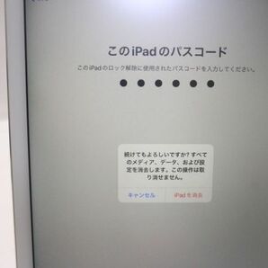 ◇Apple アップル au A1567 iPad Air 2 Wi-Fi + Cellular 16GB ゴールド 第二世代 判定〇 動作品 ロックなしの画像10