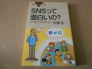 ◎SNSって面白いの？何が便利で、何が怖いのか　草野真一著　ブルーバックス　講談社　2015年発行　第1刷　中古　同梱歓迎　送料185円　