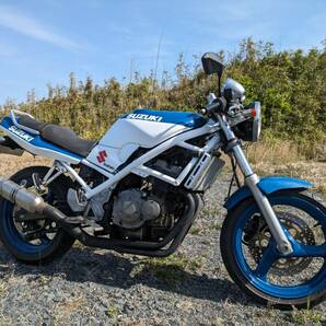 SUZUKI バンディット250 BANDIT250 セル一発始動 全塗装 令和8年1月まで自賠責付き 4発250マルチ バリオス ホーネットの画像1