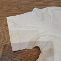 ヴィンテージ80′s NIKE 日本製 レインボーTシャツ/検ゴツナイキ 浮世絵 風車_画像5