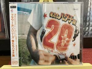 【CD】フラワーカンパニーズ ☆ 俺たちハタチ族 国内盤 96年 Antinos Records フラカン 名盤 サード 帯付き 良品