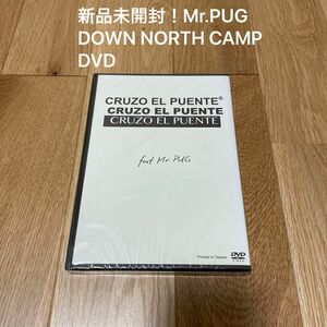 新品未開封！Mr.PUG DVD DOWN NORTH CAMP hiphop rap ヒップホップ ラップ 仙人掌 monju