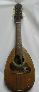  mandolin stringed instruments musical instruments music musical performance comfort . oo ke -stroke la