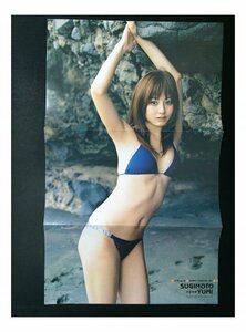 BB518 杉本有美 仲村みう◆ピンナップポスター 切り抜き 切抜き 水着 ビキニ