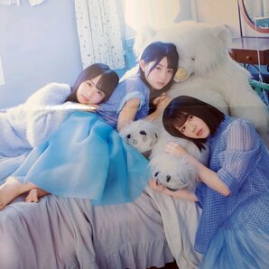 DK322 柿崎芽実×上村ひなの×渡邉美穂（日向坂46）井上梨名（欅坂46）◆ポスター 両面 雑誌付録の画像2