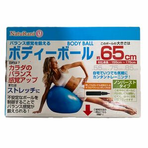 NatuRani (ナチュラニ) バランス感覚を鍛える ボディーボール65cm NR-2235 ブルー