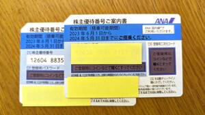 全日空 ANA 株主優待券 ２枚セット 2024年５月31日搭乗分まで有効。２枚の値段です。