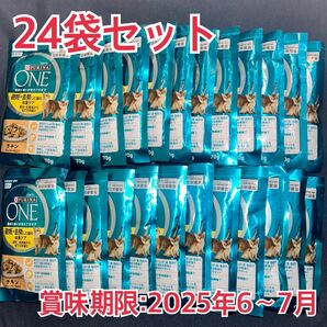 ピュリナワン 避妊・去勢した猫の体重ケア 全ての年齢に チキン 70g×24袋