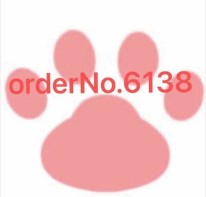 orderNo.6138