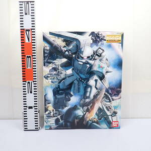 未組立 1/100 MG MS-06R-1A ザクII シン・マツナガ専用ザク Ver.2.0 機動戦士ガンダム バンダイ