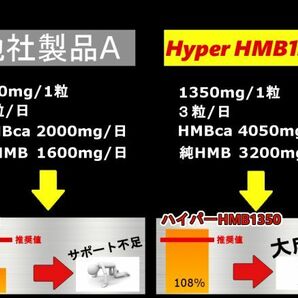 HMB量13万越えの業界トップ ハイパーHMB 100錠 【マイプロテイン2本弱分／ビルドマッスル・メタルマッスル３袋分】arcfoxes 激安 サプリの画像7